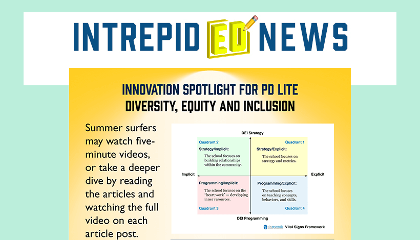 Diversity, Equity and Inclusion Innovation Spotlight for PD Lite 