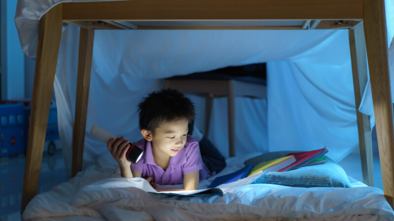 
											  10 Ways to Nudge Your Kids to Read  —  for Fun! | Deborah Farmer Kris  | 5 Min Read							