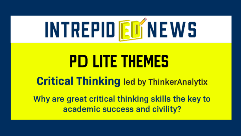 
											  Critical Thinking PD Lite 							