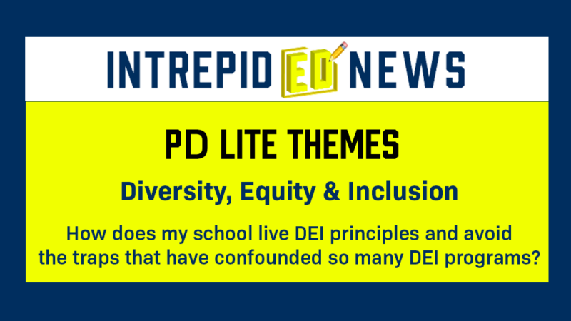 
											  Diversity, Equity and Inclusion PD Lite 							