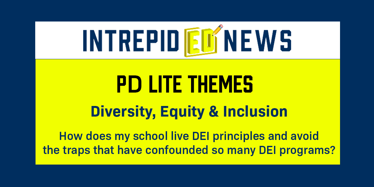 Diversity, Equity and Inclusion PD Lite 