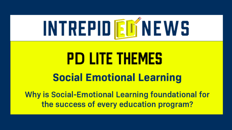 
											  Social Emotional Learning PD Lite 							