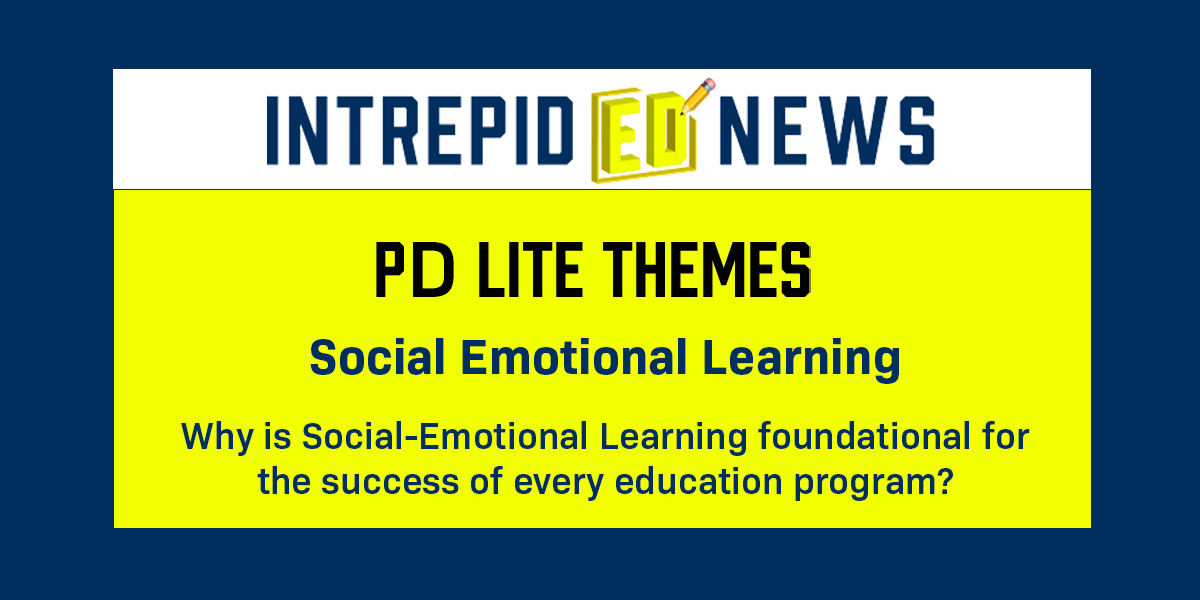 Social Emotional Learning PD Lite 