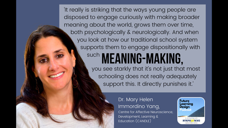 
											  On Building Meaning and Building Teens’ Brains: A Conversation with Dr. Mary Helen Immordino-Yang | Tim Logan							