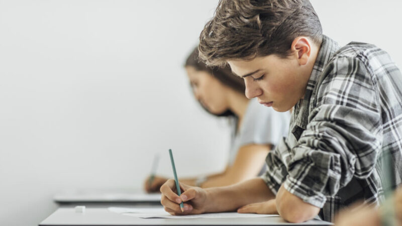 
											  Four Reasons Exams are Ineffective in Measuring Learning | Eisha FNU  | 3 Min Read							