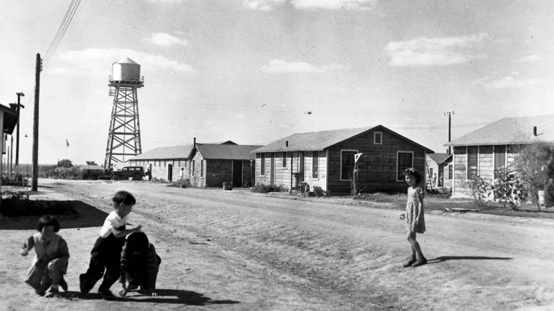 
											  Wait, the U.S. Incarcerated Japanese Peruvians during WWII? | Haiyun Lu  | 9 Min Read							