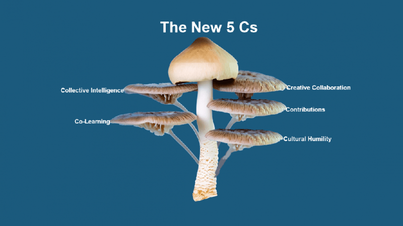 
											  The New 5 Cs are the New PBL: The Old Cs Are Useless | Thom Markham  | 4 Min Read							